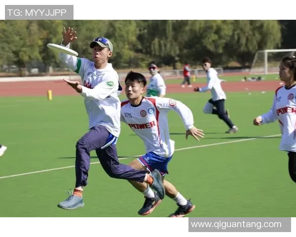 飞盘专题：聚焦广州飞盘队的配合